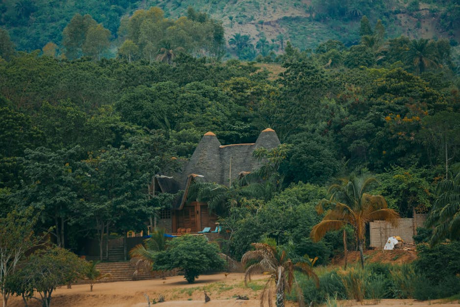 Sustainable and Eco-Friendly Lodge Holidays in the UK