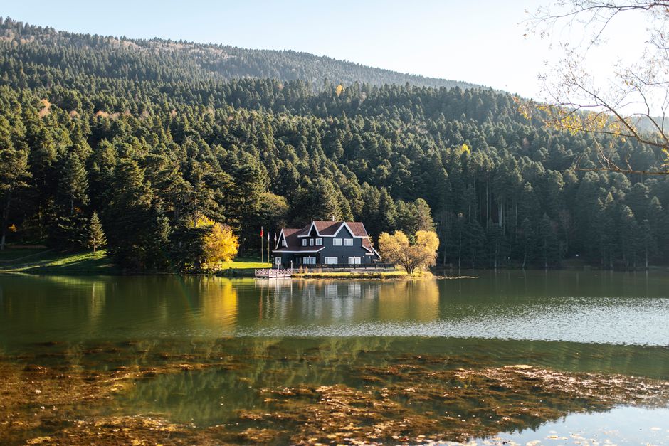 Seasonal Considerations for Booking Your Lodge Stay